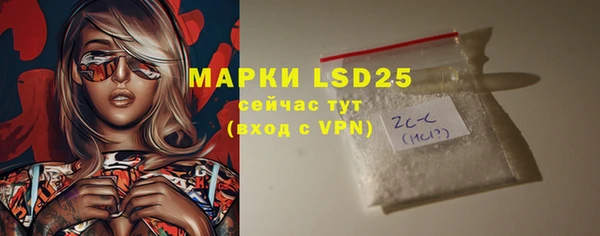 стафф Аркадак