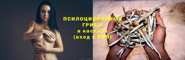 стафф Аркадак