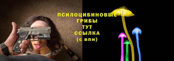 амф Арсеньев