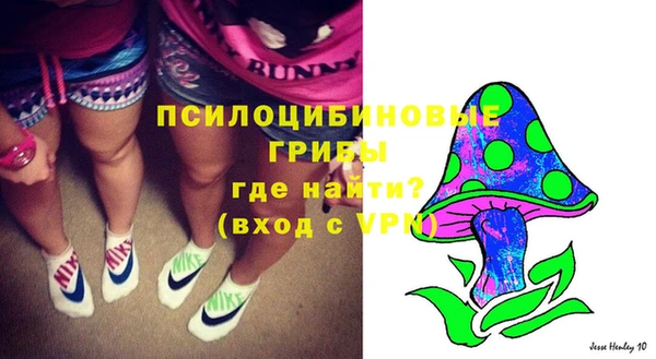 стафф Аркадак
