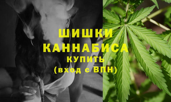 индика Тобольск